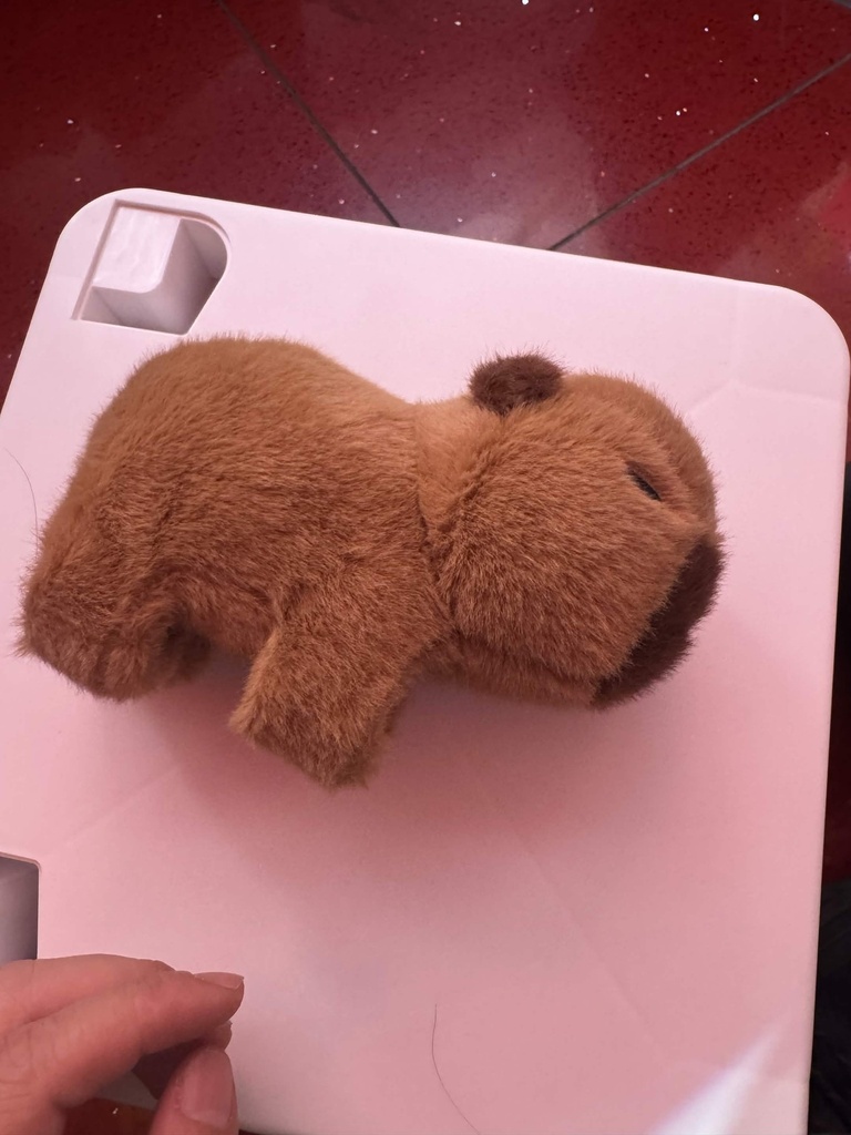 Plush Capybara (plain brown) photo 2