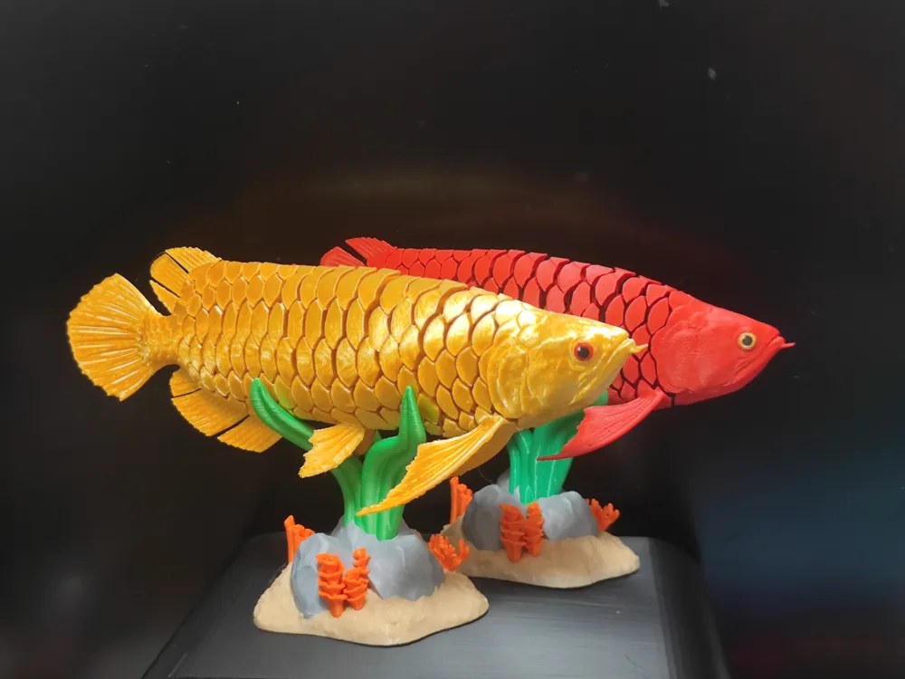 Arowana photo 2
