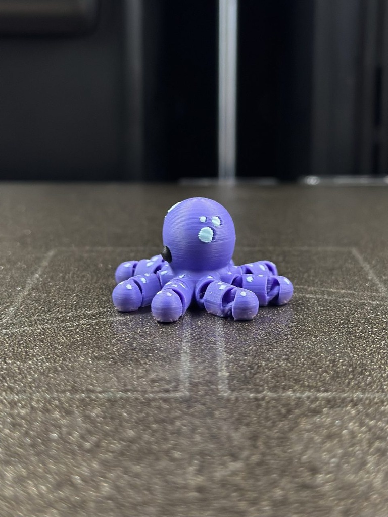Zookis Peter Octopus #15 clean photo 2