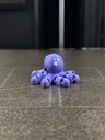 Zookis Peter Octopus #15 clean photo 2