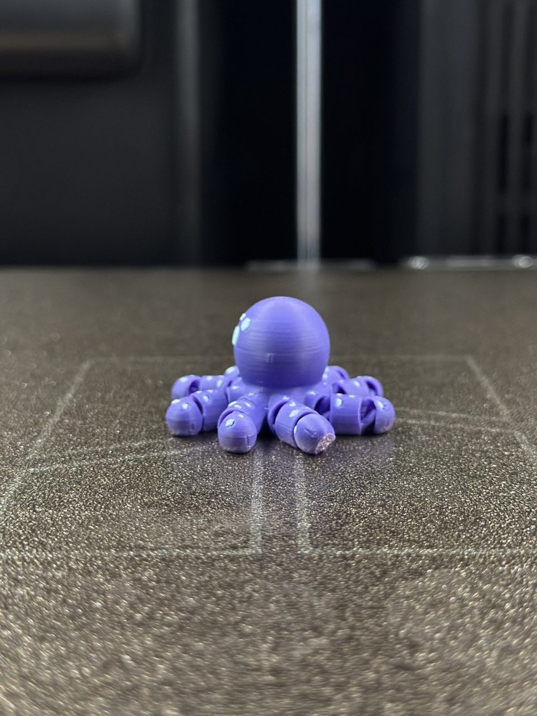 Zookis Peter Octopus #15 clean photo 3