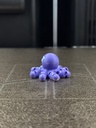 Zookis Peter Octopus #15 clean photo 3