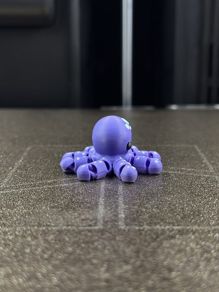 Zookis Peter Octopus #15 clean photo 4