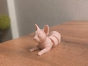 3D Printed Flexi Sphinx Cat Toy photo 3