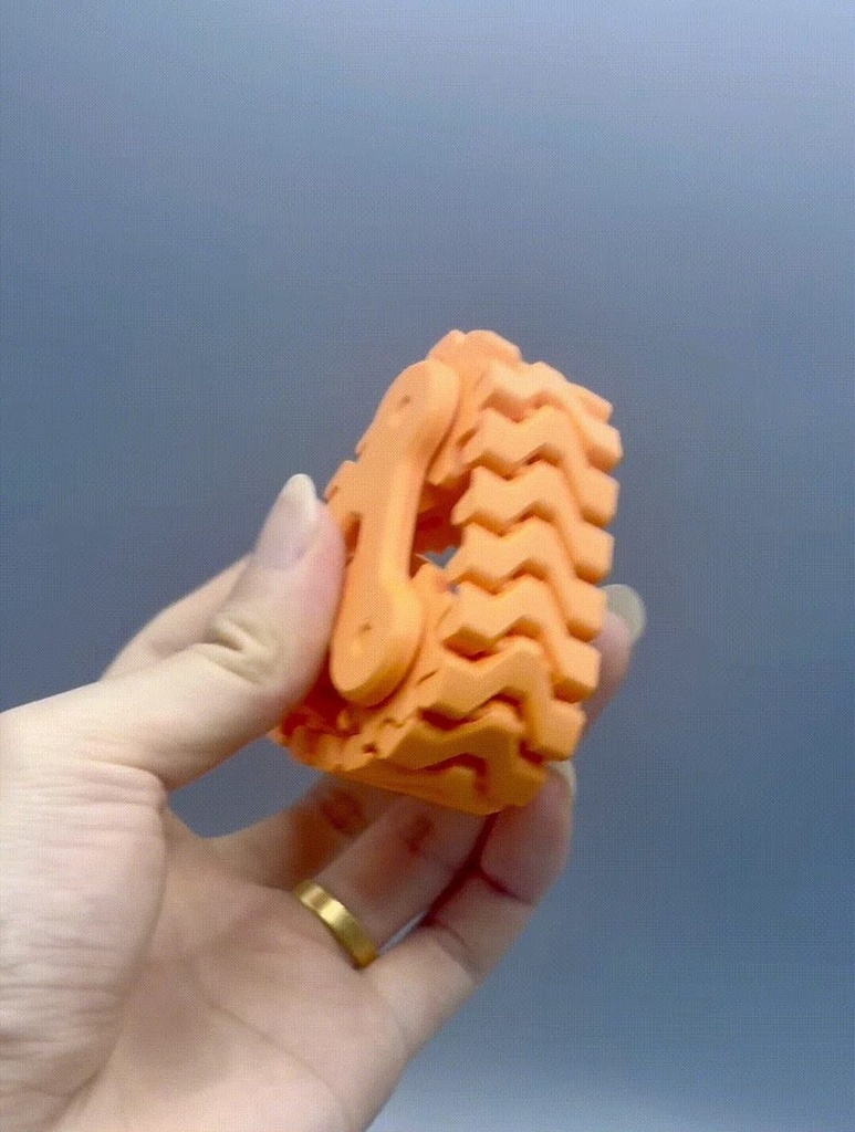 Flexi Track Fidget Toy – Type B photo 4