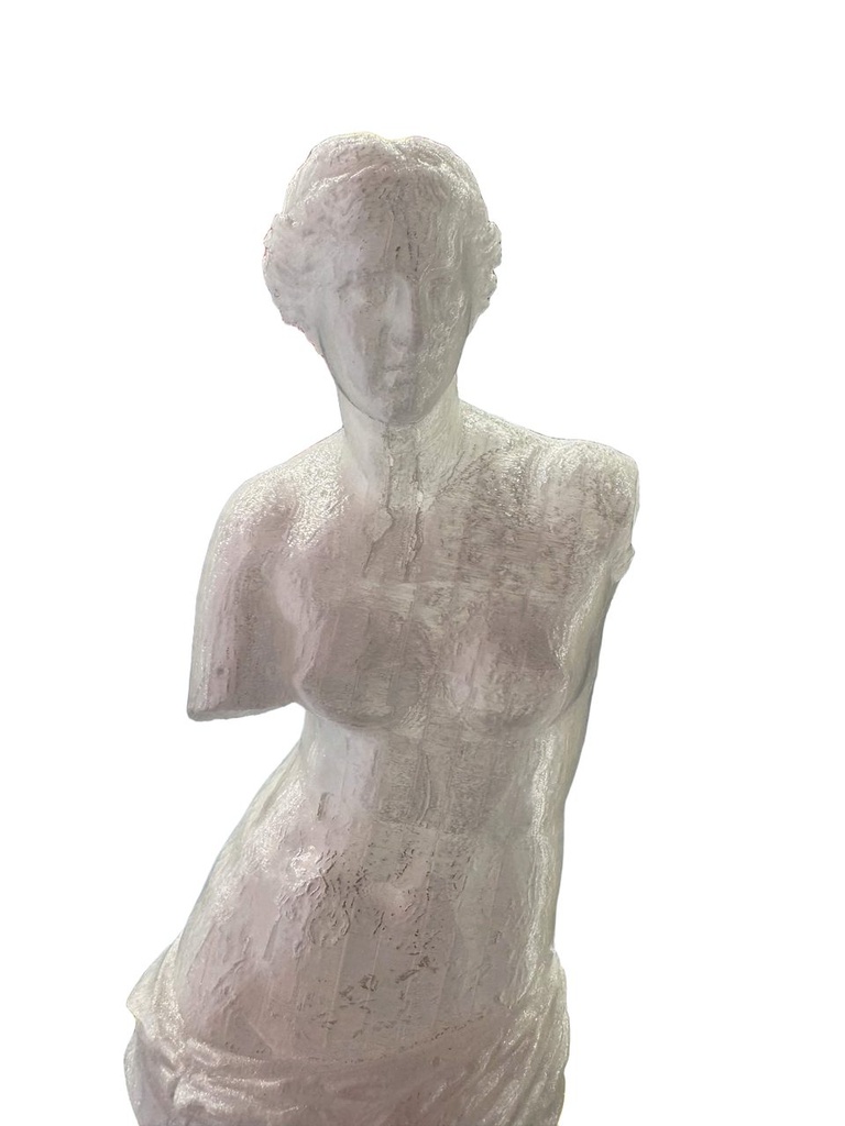 Venus de Milo statue photo 3