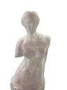 Venus de Milo statue photo 3