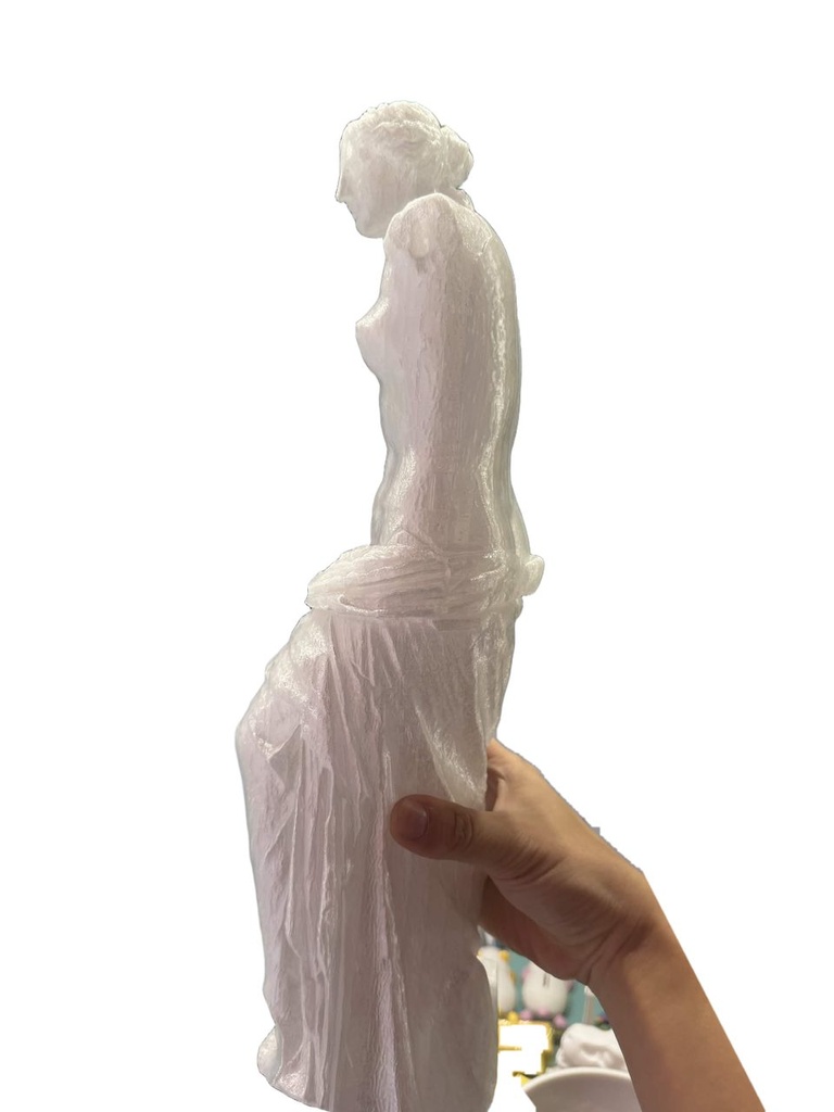 Venus de Milo statue photo 4