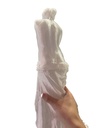 Venus de Milo statue photo 5